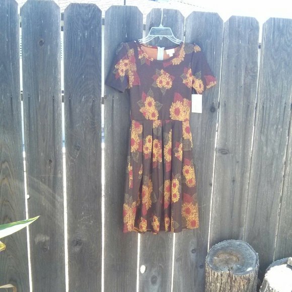New NWT Brown & Yellow Floral Print Dress Size XS Feminine Retro Cottagecore - Picture 2 of 10